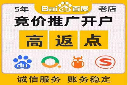 揭秘成功的关键词竞价排名背后的策略与执行